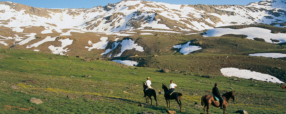 内华达山脉国家公园游客骑马