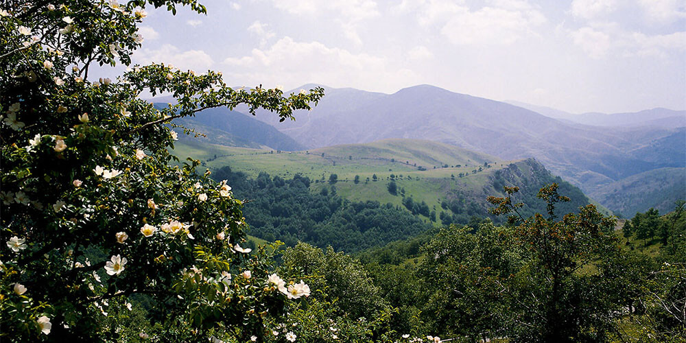 赛博耶拉山脉自然公园