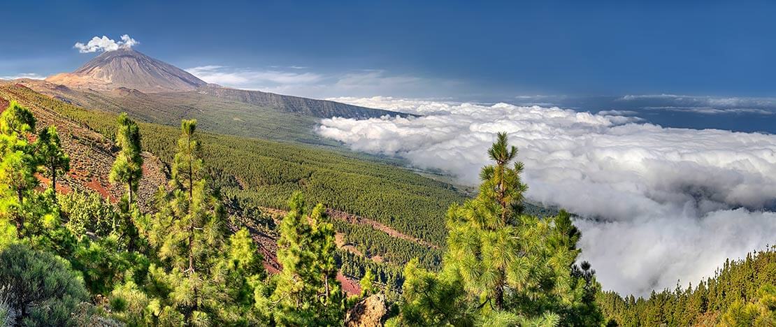 特内里费，从奇佩克（Chipeque）观景台附近的一个景点观看泰德峰（Teide）