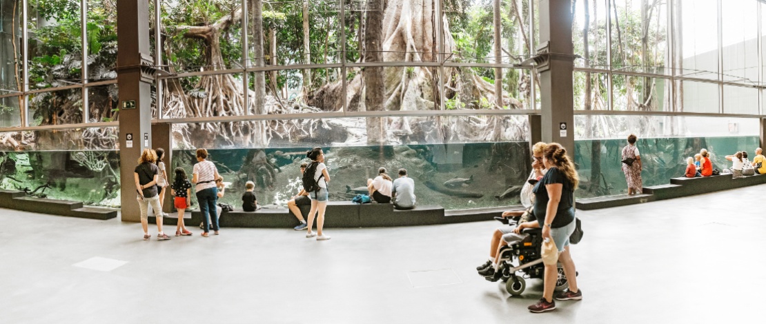 一家人参观加泰罗尼亚-巴塞罗那CosmoCaixa科学博物馆的热带森林 ©frantic00