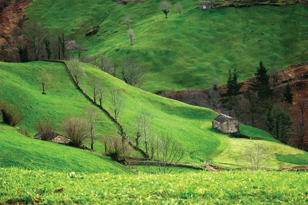 坎塔布里亚的维加德帕斯（Vega de Pas）© 坎塔布里亚旅游局