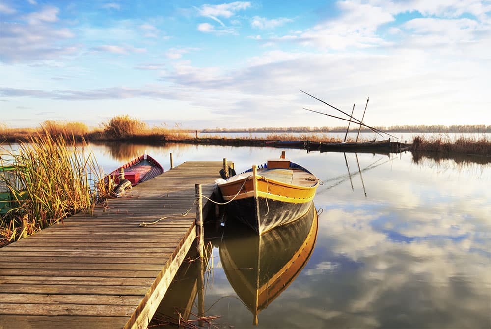 瓦伦西亚自治区的阿尔布费拉（La Albufera）自然公园