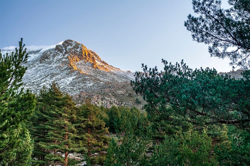 马德里的瓜达拉玛（Guadarrama）山脉国家公园