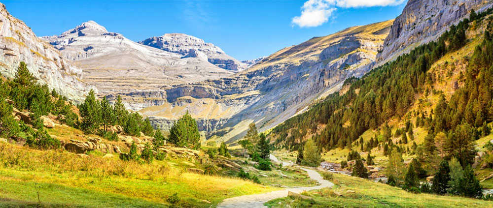 奥尔德萨和蒙特佩尔迪多国家公园